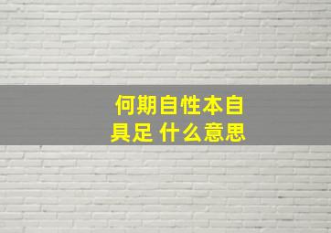 何期自性本自具足 什么意思